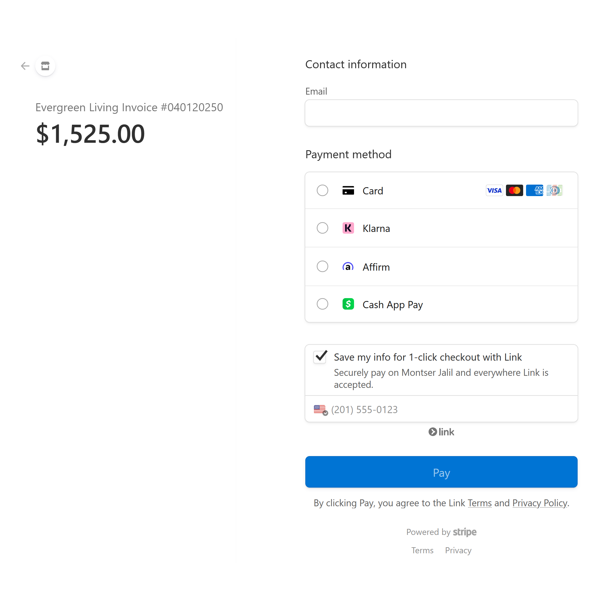 Stripe Payments Integration